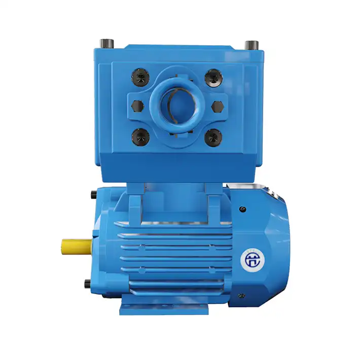 YBX5 Explosion-Proof Motor Protection Grades Explained